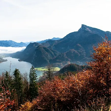 Daire Apartment Ferienwohnung Das Unterach Am Attersee